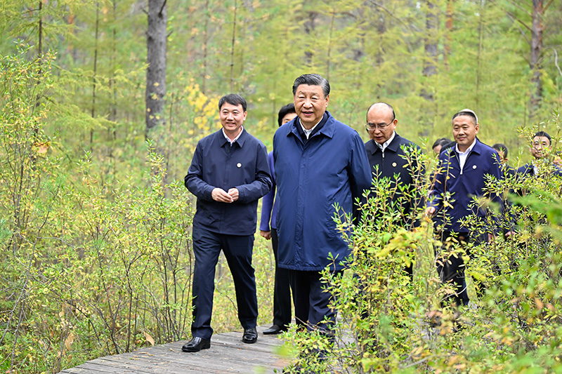 9月6日至8日，中共中央總書(shū)記、國(guó)家主席、中央軍委主席習(xí)近平在黑龍江考察。這是6日下午，習(xí)近平在大興安嶺地區(qū)漠河市漠河林場(chǎng)自然林區(qū)考察
